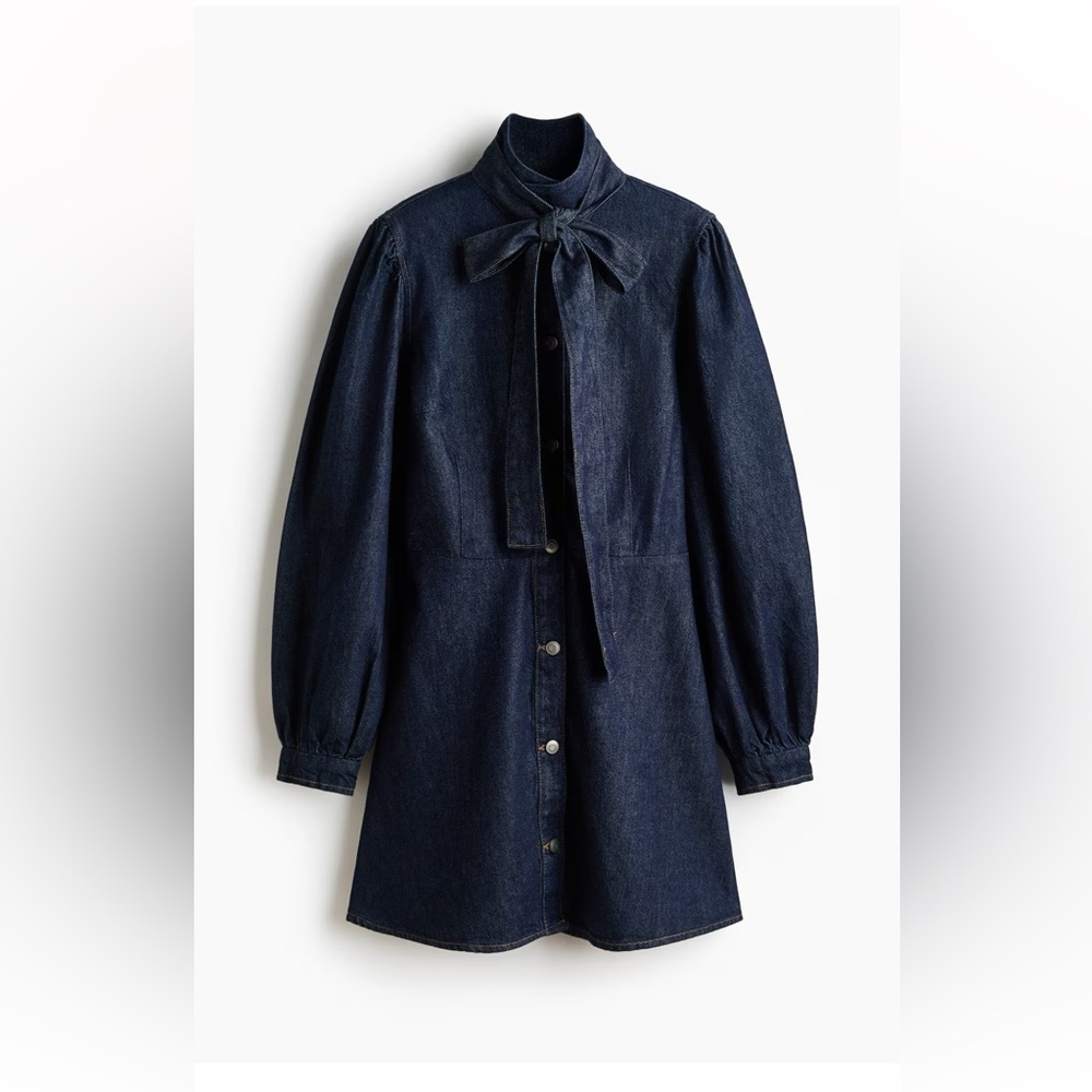 H&M Dark Blue Long Sleeve Dress